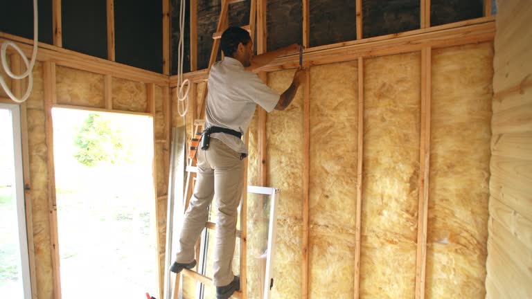 Best Blown-In Insulation  in Kings Park, VA